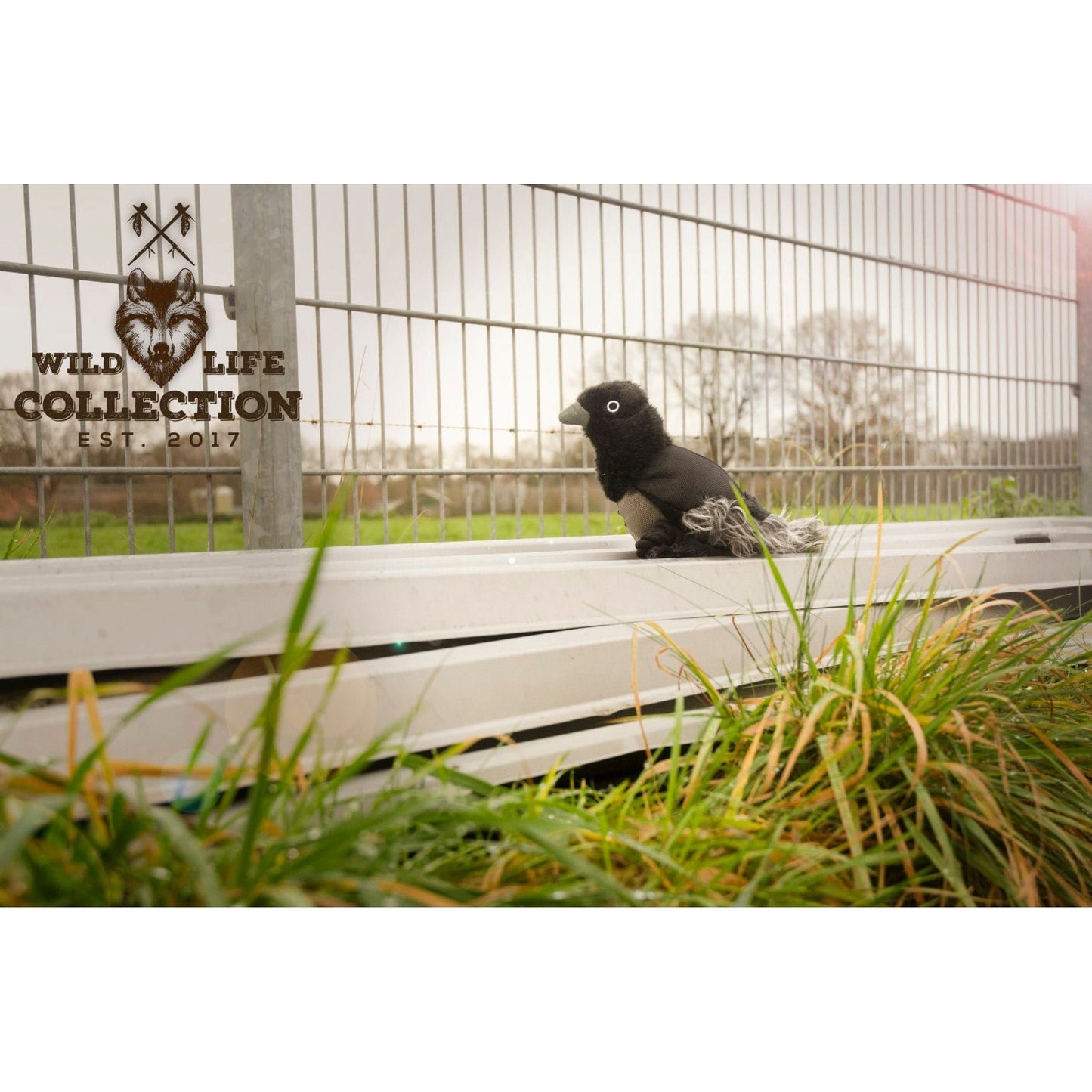 Wild Life Dog Raaf - all for animals