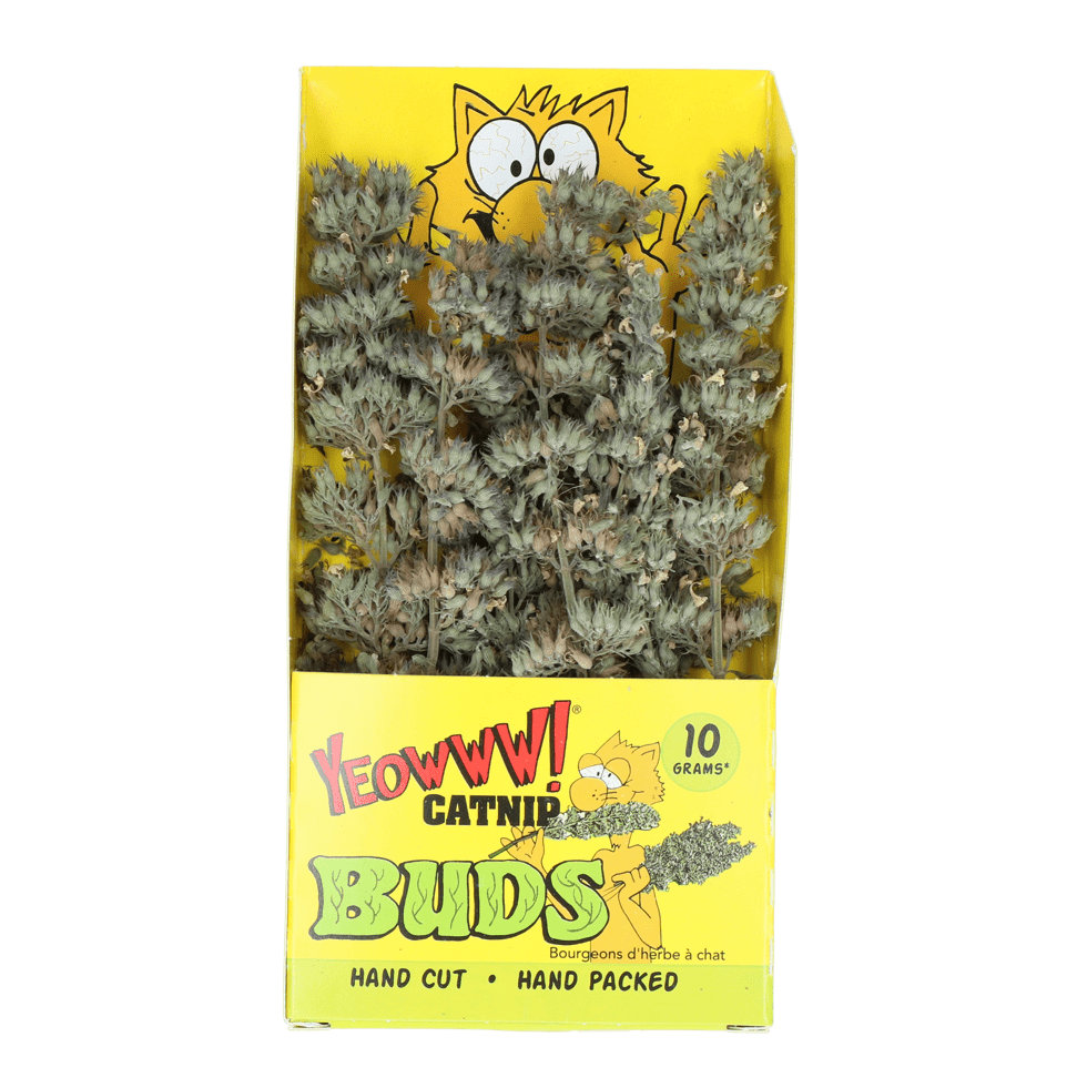 Yeowww! Catnip Buds - all for animals