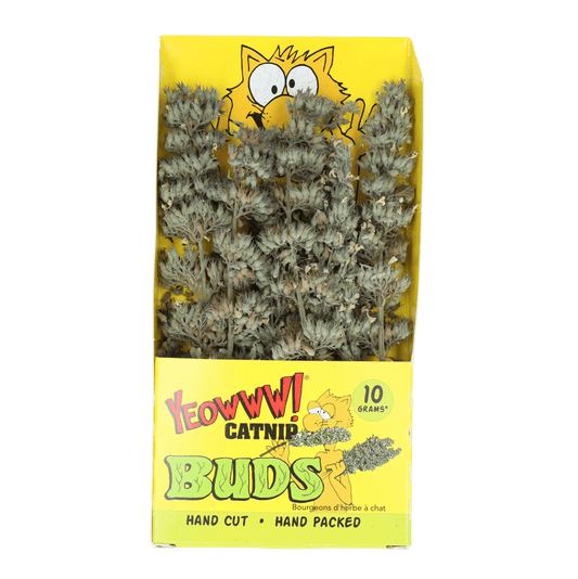 Yeowww! Catnip Buds - all for animals
