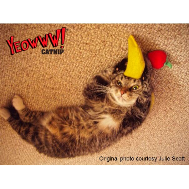 Yeowww! Chicata Banana - all for animals