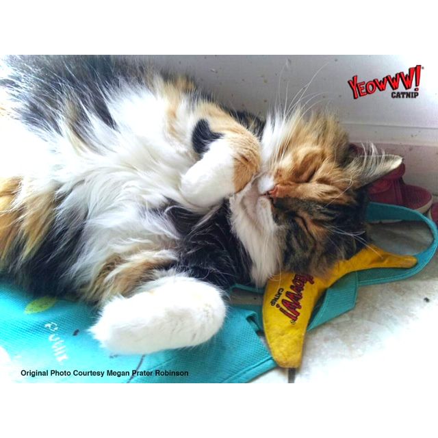 Yeowww! Chicata Banana - all for animals