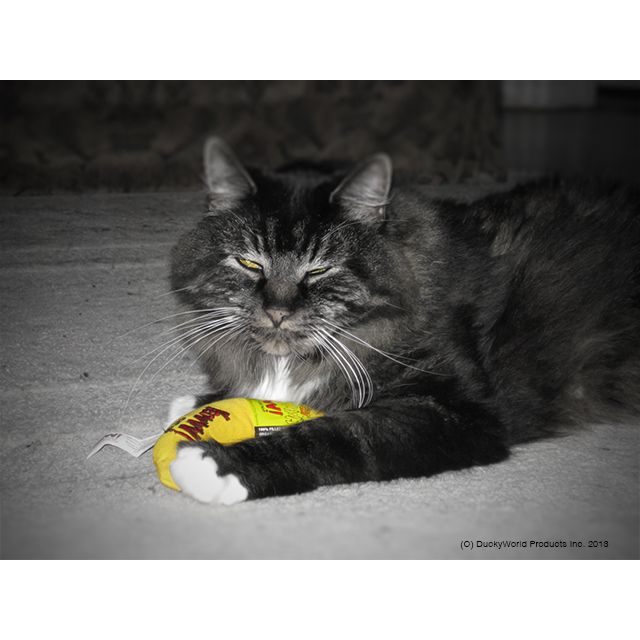 Yeowww! Chicata Banana - all for animals