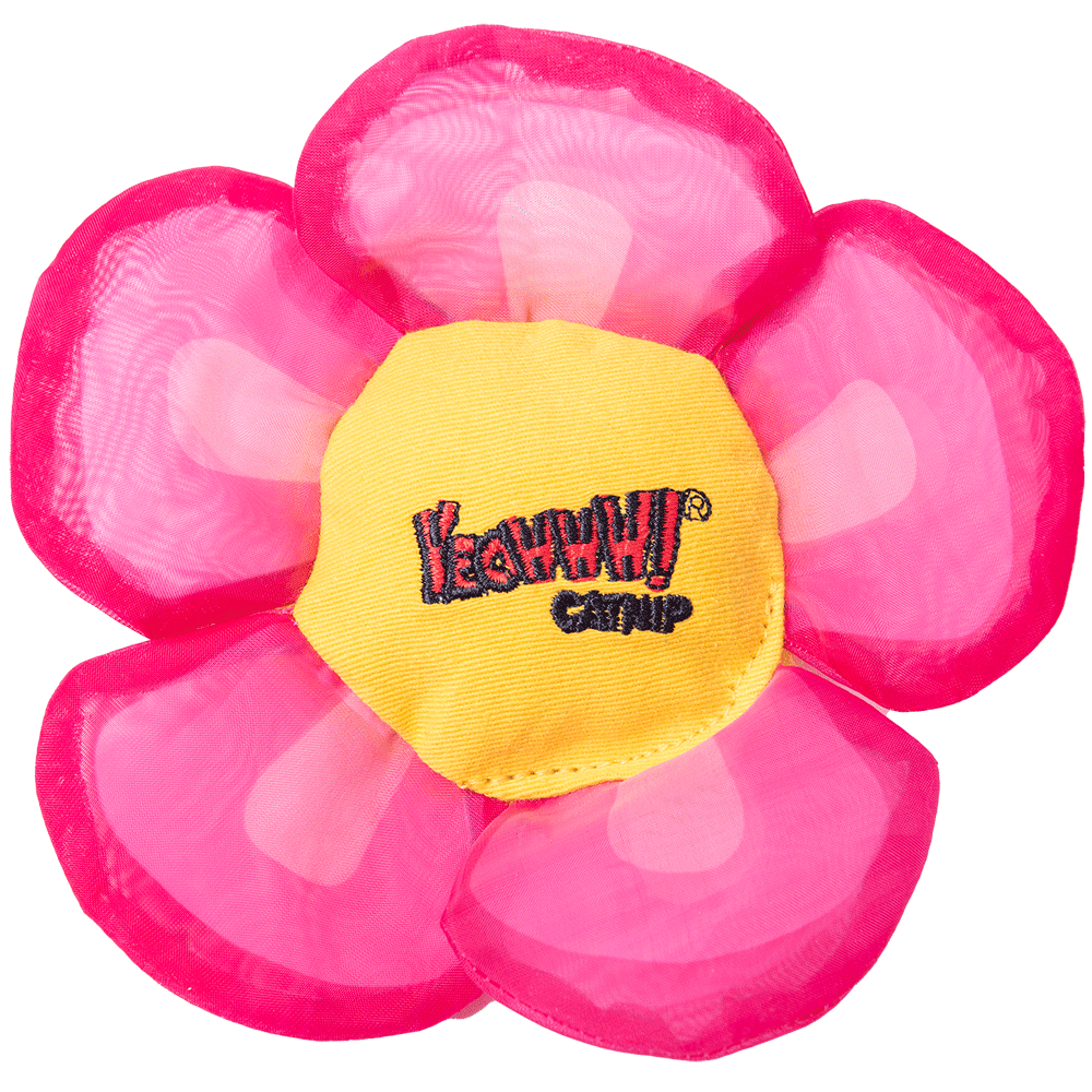 Yeowww! Daisy's Flower Tops - all for animals