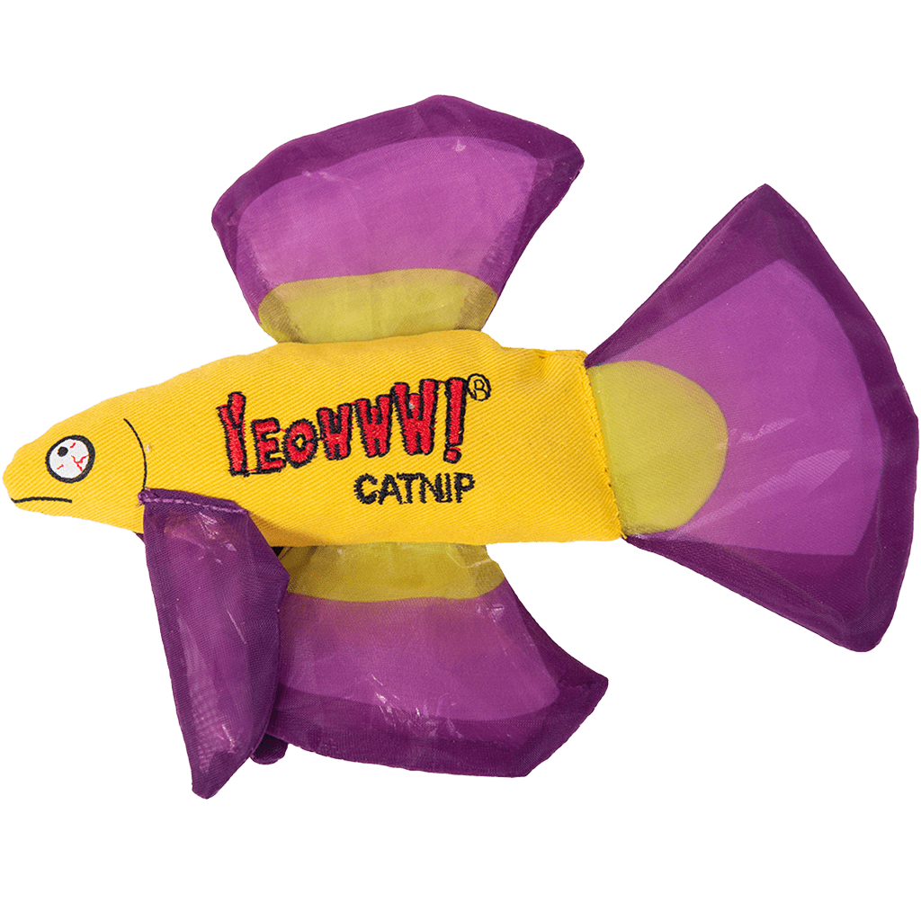 Yeowww! Mo Betta Fish - all for animals