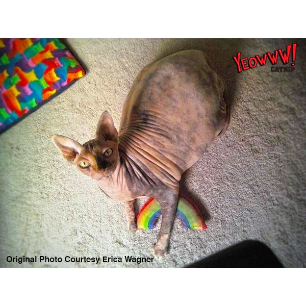 Yeowww! Rainbow - all for animals
