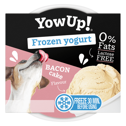 YowUp! Frozen Yoghurt Bacon Cake - all for animals