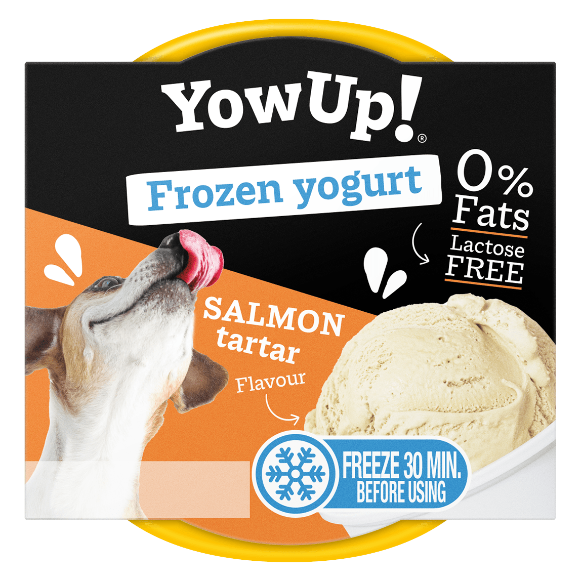 YowUp! Frozen Yoghurt Salmon Tartar - all for animals
