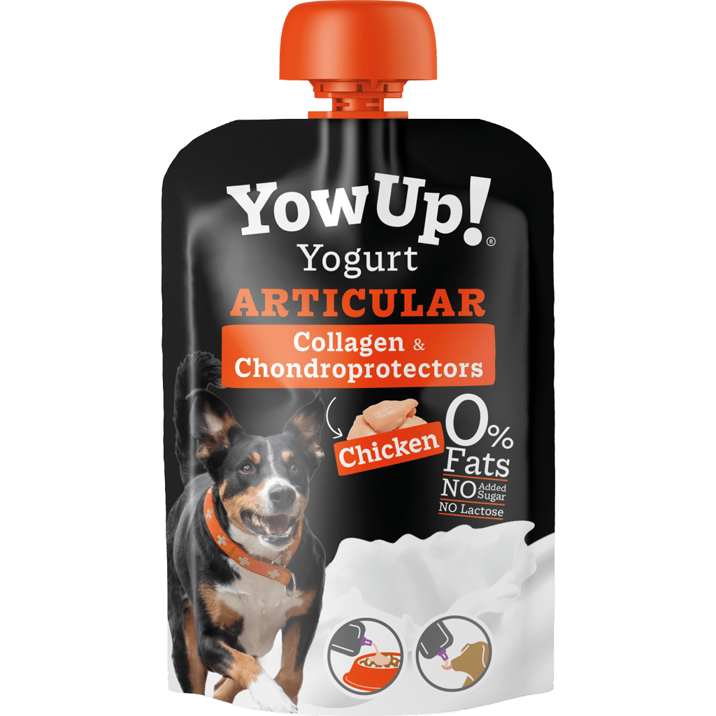 YowUp! Yogurt Dogs Chicken Articular - all for animals