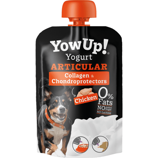 YowUp! Yogurt Dogs Chicken Articular - all for animals