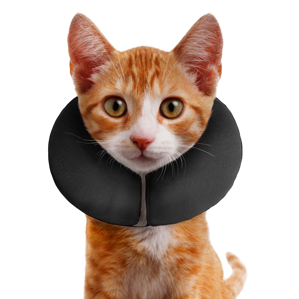 Zenpet ProCollar - all for animals