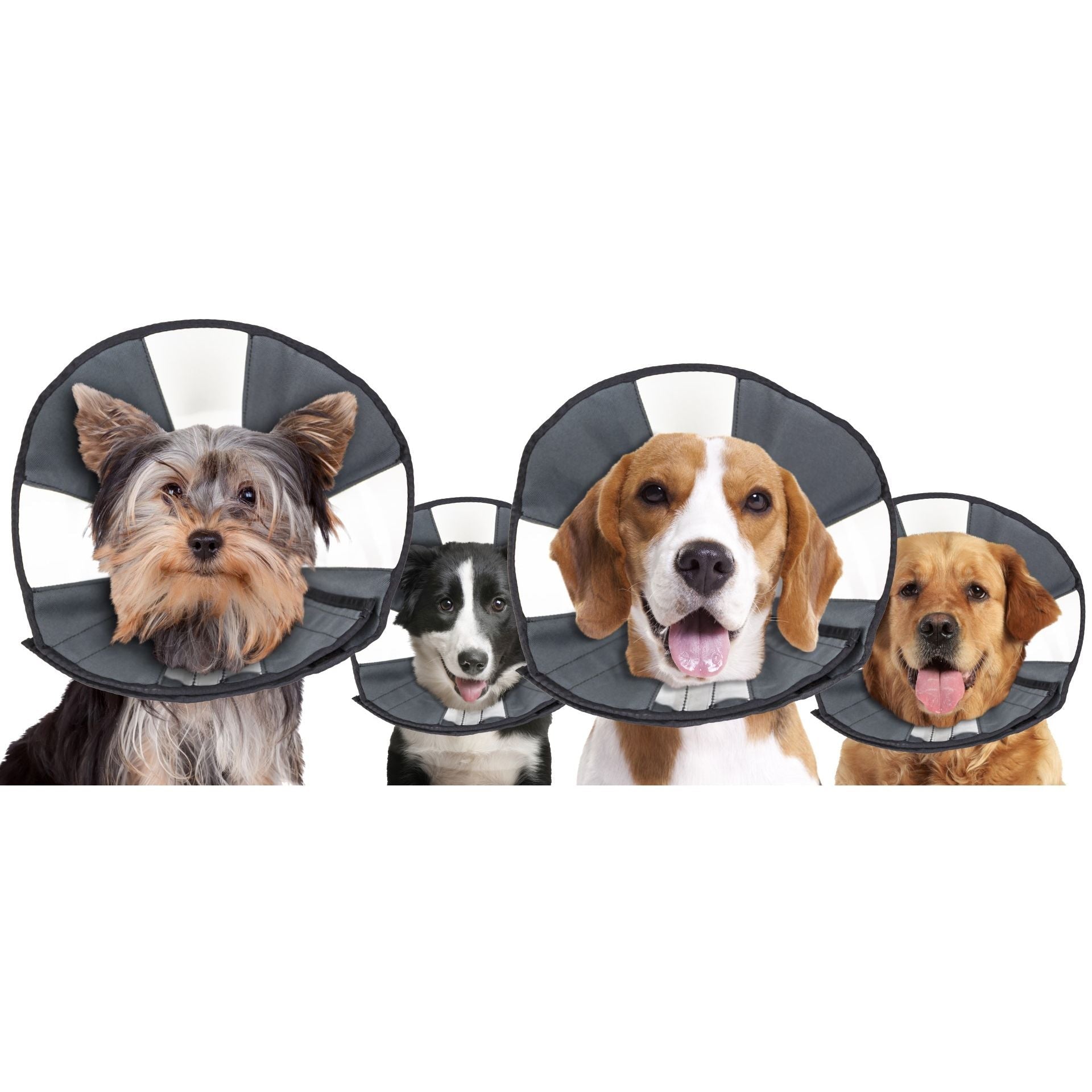 Zenpet Procone - all for animals