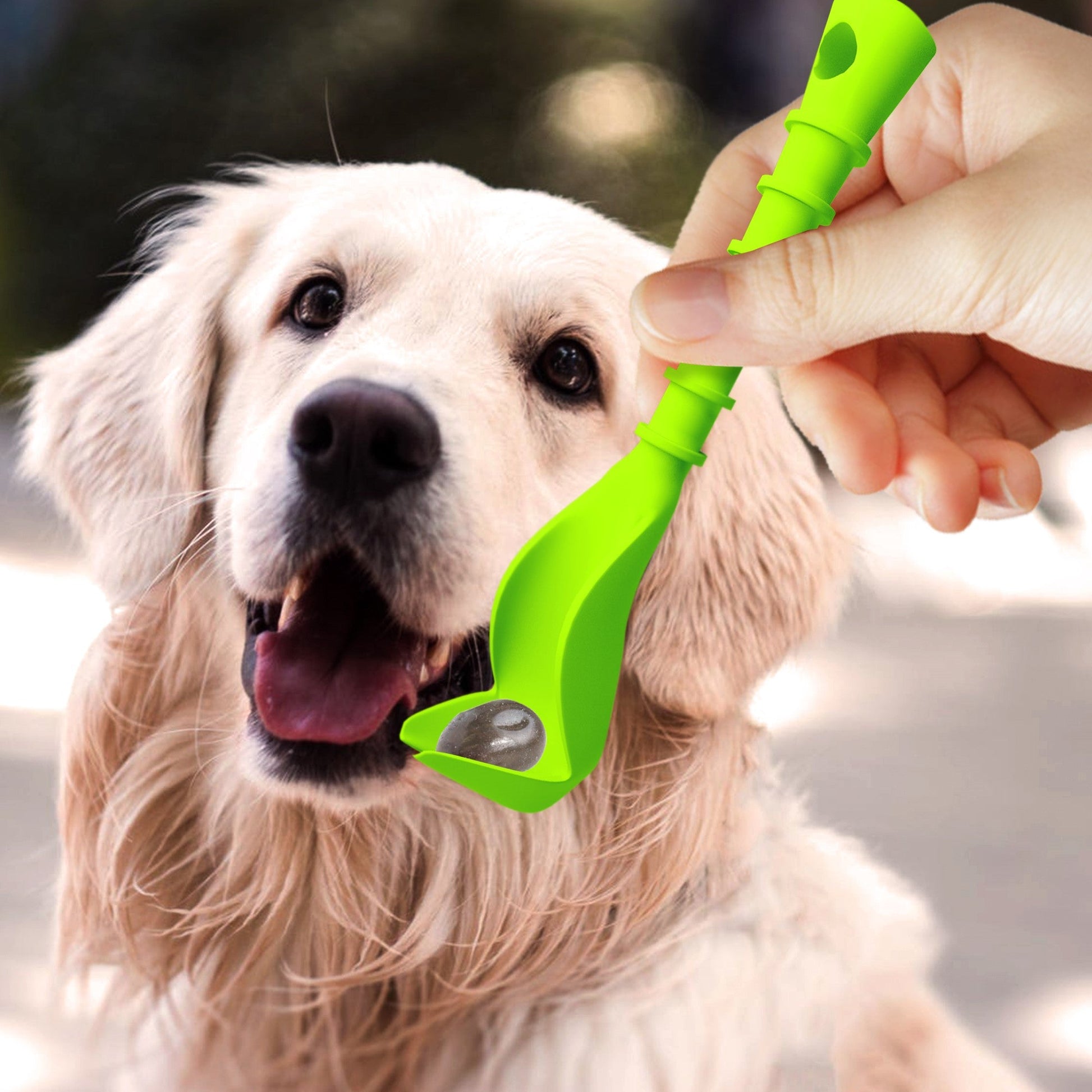 Zenpet Tick Tornado (Tekentang) - all for animals